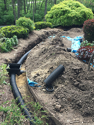 Drainage Solutions Alvarado